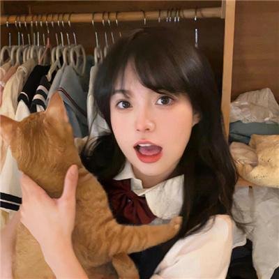 魔法灵猫